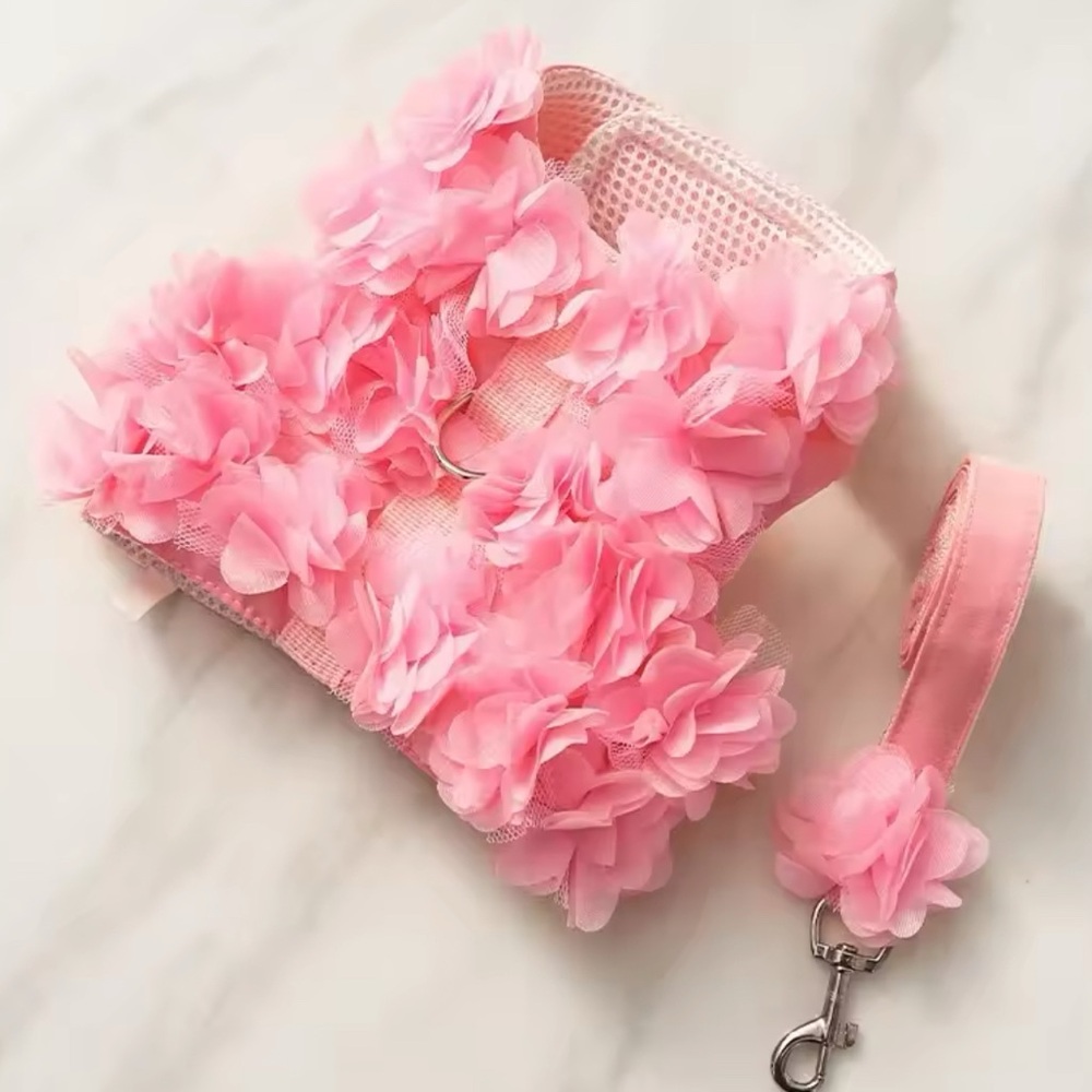 Dog harness no leash